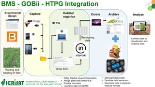 Research Program Genetic Gains (RPGG) Review Meeting 2021: Forward Breeding By Dr Himabindu Kudapa