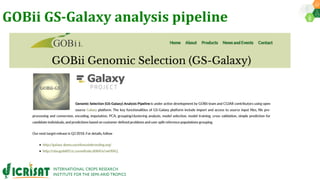 Research Program Genetic Gains (RPGG) Review Meeting 2021: Forward Breeding By Dr Himabindu Kudapa