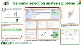Research Program Genetic Gains (RPGG) Review Meeting 2021: Forward Breeding By Dr Himabindu Kudapa
