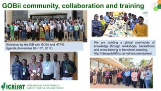 Research Program Genetic Gains (RPGG) Review Meeting 2021: Forward Breeding By Dr Himabindu Kudapa