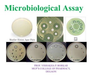 Microbiological Assay
PROF. VISHAKHA P. BORKAR
MUP’S COLLEGE OF PHARMACY,
DEGAON
 