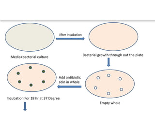 9. Microbiological assay