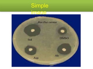 9. Microbiological assay