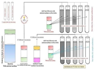 9. Microbiological assay