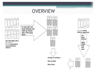 9. Microbiological assay