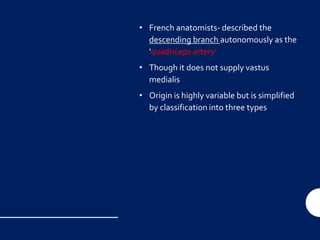 • French anatomists- described the
descending branch autonomously as the
'quadriceps artery'
• Though it does not supply vastus
medialis
• Origin is highly variable but is simplified
by classification into three types
 