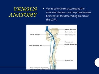 VENOUS
ANATOMY
• Venae comitantes accompany the
musculocutaneous and septocutaneous
branches of the descending branch of
the LCFA
 
