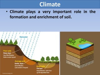 Climate Formation 9.1 weather and climate | PPTX