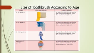 Size of Toothbrush According to Age
 