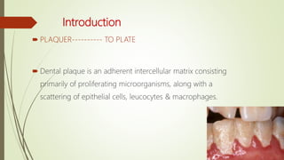 Introduction
 PLAQUER---------- TO PLATE
 Dental plaque is an adherent intercellular matrix consisting
primarily of proliferating microorganisms, along with a
scattering of epithelial cells, leucocytes & macrophages.
 