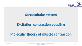 Sarcotubular system, Excitation contraction coupling, Molecular theory of muscle contraction