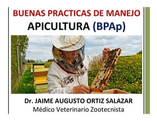 Dr. JAIME AUGUSTO ORTIZ SALAZAR
Médico Veterinario Zootecnista
BUENAS PRACTICAS DE MANEJO
APICULTURA (BPAp)
 