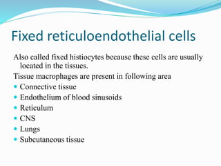 Fixed reticuloendothelial cells
Also called fixed histiocytes because these cells are usually
located in the tissues.
Tissue macrophages are present in following area
 Connective tissue
 Endothelium of blood sinusoids
 Reticulum
 CNS
 Lungs
 Subcutaneous tissue
 
