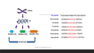 PROF.S.SUBBIAH et al.
 
