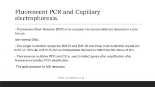 PROF.S.SUBBIAH et al.
Fluorescent PCR and Capillary
electrophoresis.
- Polymerase Chain Reaction (PCR) is to compare the microsatellite loci detected in tumor
tissues
with normal DNA,
- Two single nucleotide repeat loci BAT25 and BAT-26 and three multi-nucleotide repeat loci
D2S123, D5S346 and D17S250 as microsatellite markers to determine the status of MSI.
-. Fluorescence multiplex PCR and CE is used to detect genes after amplification after
fluorescence labeled PCR amplification.
- The gold standard for MSI detection.
 
