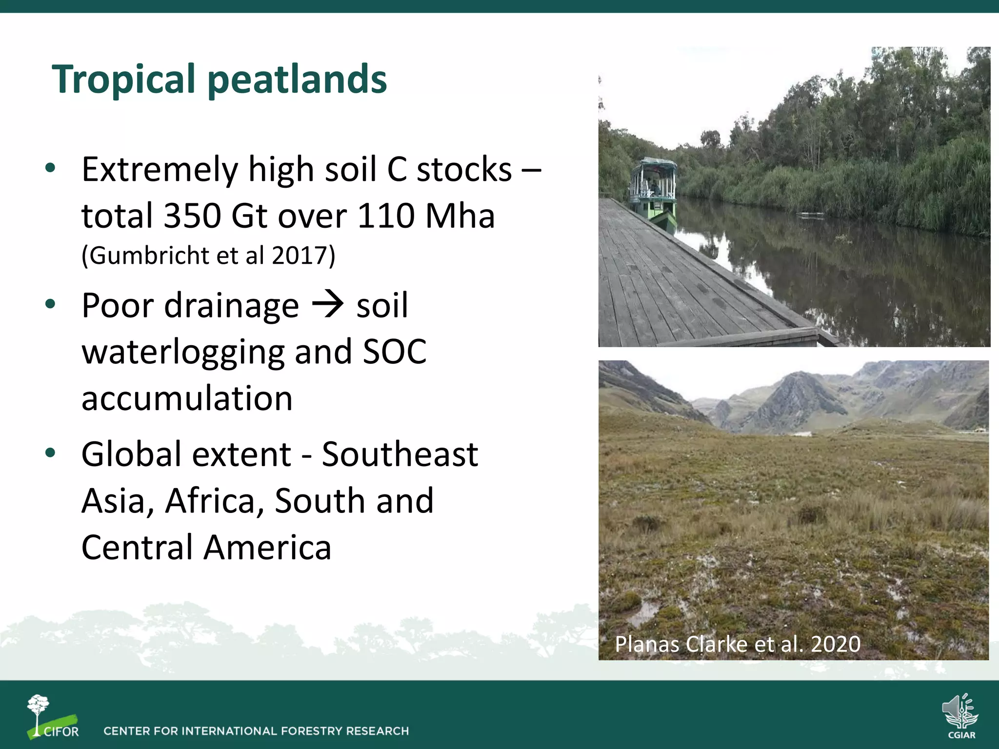 Process-based modelling of peat greenhouse gas emissions in Indonesian ...