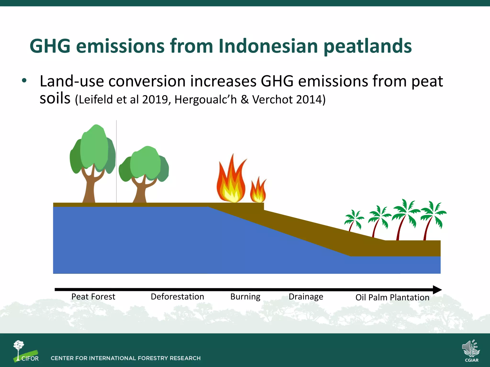 Process-based modelling of peat greenhouse gas emissions in Indonesian ...