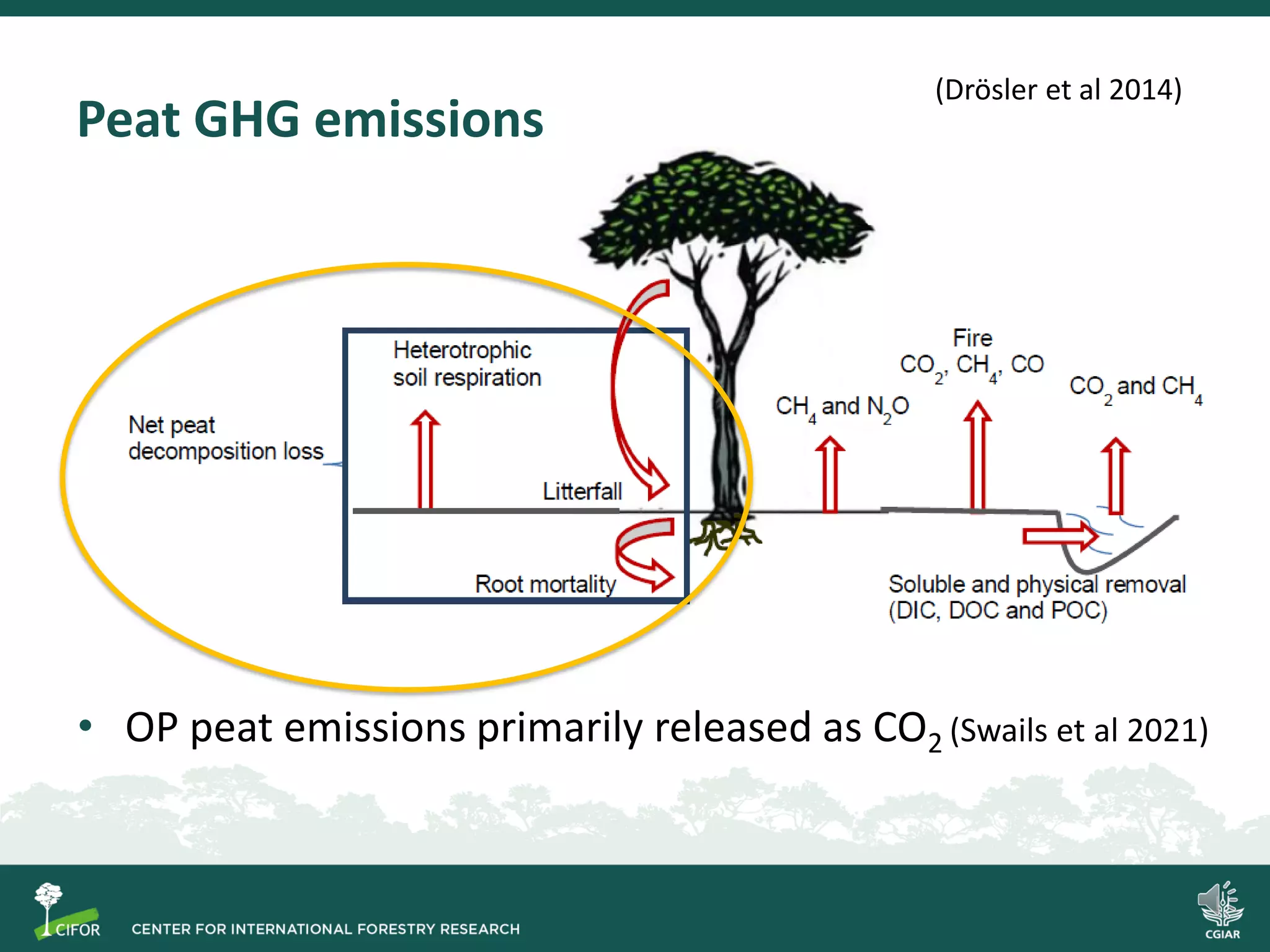 Process-based modelling of peat greenhouse gas emissions in Indonesian ...