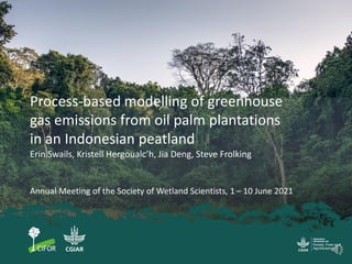Process-based modelling of greenhouse
gas emissions from oil palm plantations
in an Indonesian peatland
Erin Swails, Kristell Hergoualc’h, Jia Deng, Steve Frolking
Annual Meeting of the Society of Wetland Scientists, 1 – 10 June 2021
 