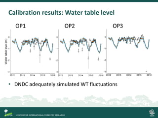 Process-based modelling of peat greenhouse gas emissions in Indonesian peatlands