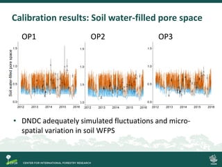 Process-based modelling of peat greenhouse gas emissions in Indonesian peatlands