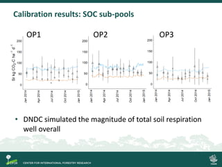 Process-based modelling of peat greenhouse gas emissions in Indonesian peatlands