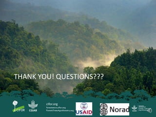 Process-based modelling of peat greenhouse gas emissions in Indonesian peatlands