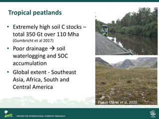 Tropical peatlands
• Extremely high soil C stocks –
total 350 Gt over 110 Mha
(Gumbricht et al 2017)
• Poor drainage → soi...