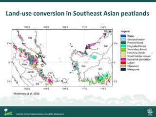 Land-use conversion in Southeast Asian peatlands
Miettinen et al. 2016
 