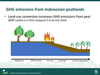 Process-based modelling of peat greenhouse gas emissions in Indonesian peatlands