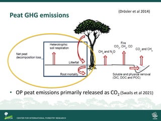 Process-based modelling of peat greenhouse gas emissions in Indonesian peatlands