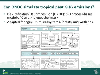 Process-based modelling of peat greenhouse gas emissions in Indonesian peatlands