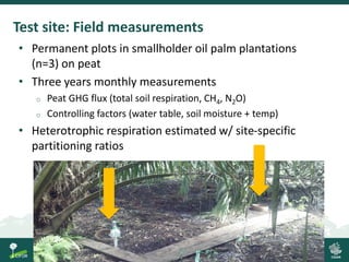 Process-based modelling of peat greenhouse gas emissions in Indonesian peatlands