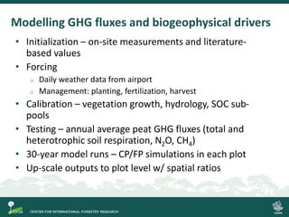 Process-based modelling of peat greenhouse gas emissions in Indonesian peatlands