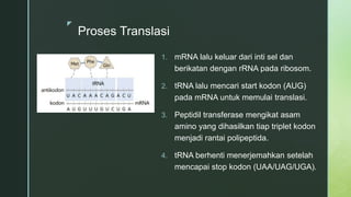 asam nukleat dan protein | PPTX