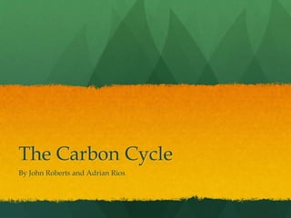 The Carbon Cycle
By John Roberts and Adrian Rios
 