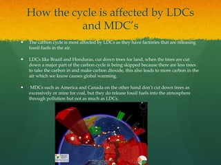 How the cycle is affected by LDCs
and MDC’s
 The carbon cycle is most affected by LDCs as they have factories that are releasing
fossil fuels in the air.
 LDCs like Brazil and Honduras, cut down trees for land, when the trees are cut
down a major part of the carbon cycle is being skipped because there are less trees
to take the carbon in and make carbon dioxide, this also leads to more carbon in the
air which we know causes global warming.
 MDCs such as America and Canada on the other hand don’t cut down trees as
excessively or mine for coal, but they do release fossil fuels into the atmosphere
through pollution but not as much as LDCs.
 