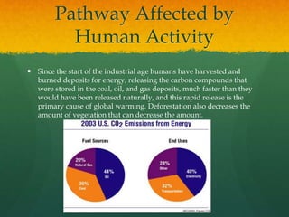 Pathway Affected by
Human Activity
 Since the start of the industrial age humans have harvested and
burned deposits for energy, releasing the carbon compounds that
were stored in the coal, oil, and gas deposits, much faster than they
would have been released naturally, and this rapid release is the
primary cause of global warming. Deforestation also decreases the
amount of vegetation that can decrease the amount.
 