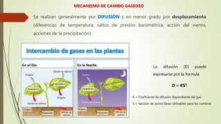 MECANISMO DE CAMBIO GASEOSO
Se realizan generalmente por DIFUSIÓN y en menor grado por desplazamiento
(diferencias de temperatura, saltos de presión barométrica, acción del viento,
acciones de la precipitación)
D = KS2
La difusión (D) puede
expresarse por la formula
K = Coeficiente de difusión dependiente del gas
S = Sección de poros libres utilizables para los cambios
 