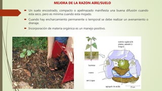 MEJORA DE LA RAZON AIRE/SUELO
 Un suelo encostrado, compacto o apelmazado manifiesta una buena difusión cuando
esta seco, pero es mínima cuando esta mojado.
 Cuando hay encharcamiento permanente o temporal se debe realizar un avenamiento o
drenaje.
 Incorporación de materia orgánica es un manejo positivo.
 