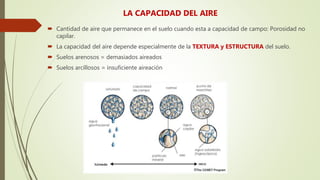 LA CAPACIDAD DEL AIRE
 Cantidad de aire que permanece en el suelo cuando esta a capacidad de campo: Porosidad no
capilar.
 La capacidad del aire depende especialmente de la TEXTURA y ESTRUCTURA del suelo.
 Suelos arenosos = demasiados aireados
 Suelos arcillosos = insuficiente aireación
 