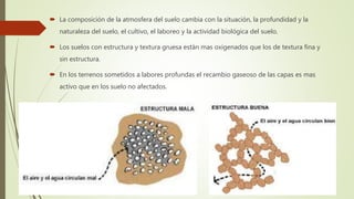  La composición de la atmosfera del suelo cambia con la situación, la profundidad y la
naturaleza del suelo, el cultivo, el laboreo y la actividad biológica del suelo.
 Los suelos con estructura y textura gruesa están mas oxigenados que los de textura fina y
sin estructura.
 En los terrenos sometidos a labores profundas el recambio gaseoso de las capas es mas
activo que en los suelo no afectados.
 