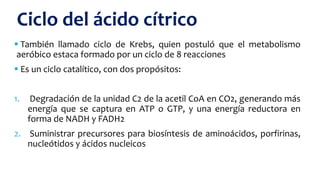  También llamado ciclo de Krebs, quien postuló que el metabolismo
aeróbico estaca formado por un ciclo de 8 reacciones
 Es un ciclo catalítico, con dos propósitos:
1. Degradación de la unidad C2 de la acetil CoA en CO2, generando más
energía que se captura en ATP o GTP, y una energía reductora en
forma de NADH y FADH2
2. Suministrar precursores para biosíntesis de aminoácidos, porfirinas,
nucleótidos y ácidos nucleicos
Ciclo del ácido cítrico
 