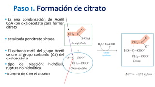  Es una condensación de Acetil
CoA con oxaloacetato para formar
citrato
 catalizada por citrato sintasa
 El carbono metil del grupo Acetil
se une al grupo carbonilo (C2) del
oxaloacetato
 tipo de reacción: hidrólisis,
ruptura no hidrolítica
Número de C en el citrato=
Paso 1. Formación de citrato
 