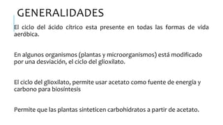 GENERALIDADES
El ciclo del ácido cítrico esta presente en todas las formas de vida
aeróbica.
En algunos organismos (plantas y microorganismos) está modificado
por una desviación, el ciclo del glioxilato.
El ciclo del glioxilato, permite usar acetato como fuente de energía y
carbono para biosíntesis
Permite que las plantas sinteticen carbohidratos a partir de acetato.
 