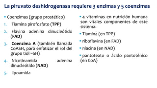  Coenzimas (grupo prostético)
1. Tiamina pirofosfato (TPP)
2. Flavina adenina dinucleótido
(FAD)
3. Coenzima A (también llamada
CoASH, para enfatizar el rol del
grupo tiol –SH)
4. Nicotinamida adenina
dinucleótido (NAD)
5. lipoamida
La piruvato deshidrogenasa requiere 3 enzimas y 5 coenzimas
 4 vitaminas en nutrición humana
son vitales componentes de este
sistema:
 Tiamina (en TPP)
 riboflavina (en FAD)
 niacina (en NAD)
 pantoteato o ácido pantoténico
(en CoA)
 