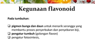 Pada tumbuhan:
 pigmen bunga dan daun untuk menarik serangga yang
membantu proses penyerbukan dan penyebaran biji,
 pengatur tumbuh (golongan flavon)
 pengatur fotosintesis,
Kegunaan flavonoid
 