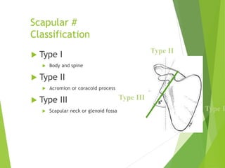 Injuries around the shoulder | PPT