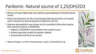 Panbonis- Natural source of 1,25(OH)2D3
• Mixture of waxy nightshade meal (Solanum glaucophyllum) and plant-based
carrier.
• Plants store bioactive Vit D3 as inactive glycosidic bonds which are cleaved
within intestines to absorb bioactive component of Vit D.
• Solanum glaucophyllum was chosen out of a possible 4 other plant species
that naturally produce 1,25(OH)2D3.
• Highest 1,25(OH)2D3 concentration from a plant source
• Greater glycoside content for greater stability
• Guaranteed shelf life of 24 months
• 100 g of Panbonis per MT of feed provides 1 μg of 1,25 (OH)2D3 per kg
 