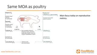 Same MOA as poultry
- Main focus today on reproductive
metrics.
 